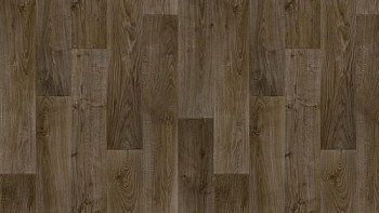 Линолеум Tarkett Discovery RIGARD 3 фото 1 | FLOORDEALER